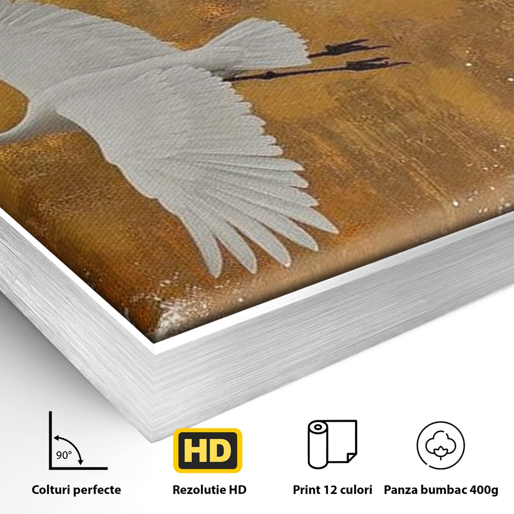 Detaliu al suprafetei: tablou canvas cu doi cocori, in rama de aluminiu argintiu
